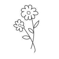 Wildflowers outline illustration vector