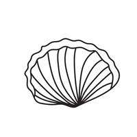 seashell outline illustration vector