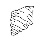 seashell outline illustration vector