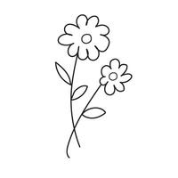 Wildflowers outline illustration vector