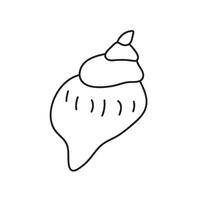 seashell outline illustration vector