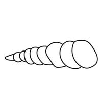 seashell outline illustration vector