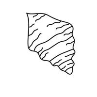 seashell outline illustration vector