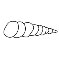 seashell outline illustration vector