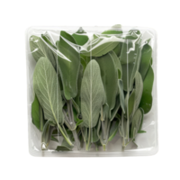 Fresh Sage Leaves in Plastic Packaging png