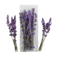 lavendel boeket in verpakking png