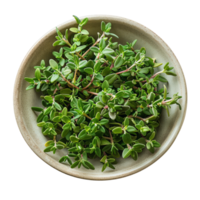 Fresh Thyme in a Bowl png