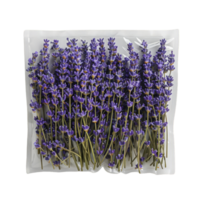 Lavender Bunch on White png