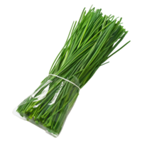 Fresh Chives Bundle png