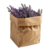 lavanda floresce dentro papel saco png