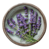 Keramik Schüssel mit frisch Lavendel, oben Aussicht png