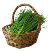 Freshly Picked Green Chives in a Wicker Basket png