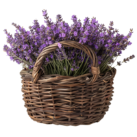 Basket of Lavender on Black Background png