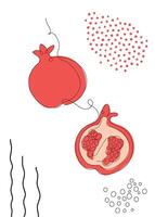 Continuous one line drawing pomegranate. illustration. Black line art on white background with colorful spots and elements. Poster in minimalism concept vector