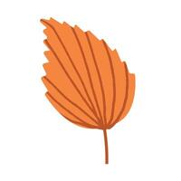 Autumn leaf. Autumn leaf isolated on white background. illustration. Cozy time concept. Hand drawn illustration for menu, design, flyer, banner vector