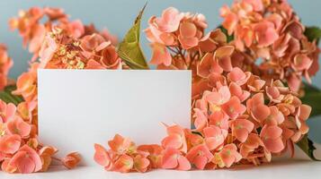 Bosquejo de un blanco tarjeta junto a naranja hortensia ramo, suave pastel tonos foto