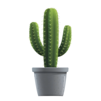 cactus en maceta clipart icono png