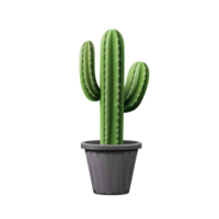 cactus en maceta clipart icono png