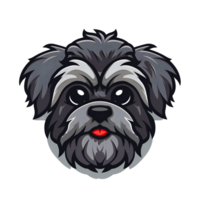 Havanese dog mascot logo png