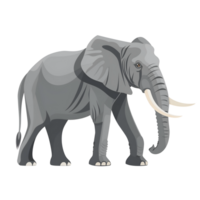 elefante plano ilustración png