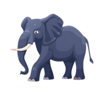 Elephant flat illustration png