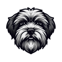 Havanese dog mascot logo png