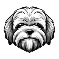 havanais chien mascotte logo png