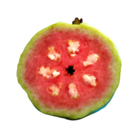 Fresh guava fruit isolated on transparent background png