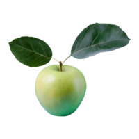 Green apple with leaves isolated on transparent background png