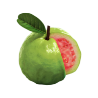 Fresh guava fruit isolated on transparent background png