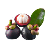 Water splash on fresh mangosteen with leaves isolated on transparent background png