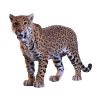 giaguaro leopardo gattopardo clipart isolato su trasparente sfondo png