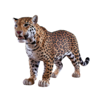 jaguar leopardo gato montés clipart aislado en transparente antecedentes png
