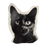 Monochrome vintage photo of halloween Cat cut out image png