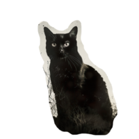 Monochrome vintage photo of halloween Cat cut out image png