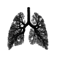 Generated AI Human lungs with black smoke illustration isolated on a transparent background png