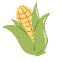 Yellow corncob cartoon png