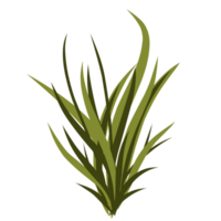 Green grass illustration png