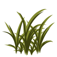 Green grass illustration png