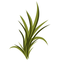 Green grass illustration png