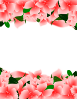 Floral frame with flowers blossom border illustration png