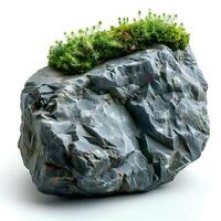 Green moss on a stone isolated on white background with shadow. Rock with forest moss isolated. Rock with wild forest grass and nature photo
