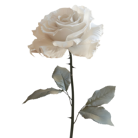 3D Rendering of a White Rose with Leaves on Transparent Background png