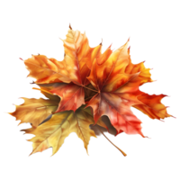 3d renderen van een herfst bladeren Aan transparant achtergrond png