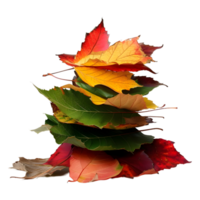 3D Rendering of a Autumn Leaves on Transparent Background png