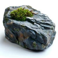 Green moss on a stone isolated on white background with shadow. Rock with forest moss isolated. Rock with wild forest grass and nature photo