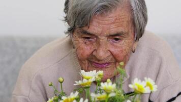 Elderly Woman is Loving Plant Daisy video