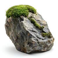 Green moss on a stone isolated on white background with shadow. Rock with forest moss isolated. Rock with wild forest grass and nature photo