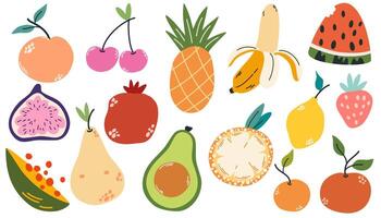 Doodle fruits. Natural tropical fruit, doodles citrus orange and vitamin lemon. Vegan kitchen apple hand drawn illustration vector