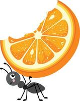 Cute ant carrying a slice of eaten orange vector